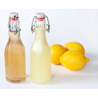 Crafty Cultures Kombucha Elite Kit